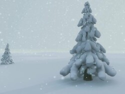 Winter scene I Stock Footage