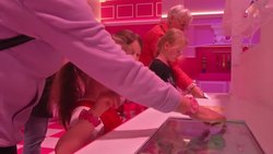 Pink wonderland for Barbie fans dismissed by critics News Clip