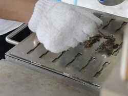 augment polymer compound in microdogbone mold Stock Footage