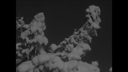 CAN673 MAN MAKES CHRISTMAS TROLLS News Clip