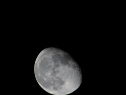 Moon rising over Los Angeles Stock Footage