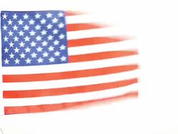 Usa flag Stock Footage