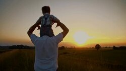 Father and son bonding at sunset Stock Footage