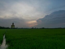 Wat Muang Stock Footage