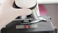 Scientist is using with microscope Stock Footage