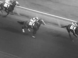 American Derby race at Arlington Park Stock Footage