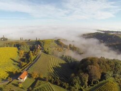 HD: Farms With Terraced Vineyards Stock Footage