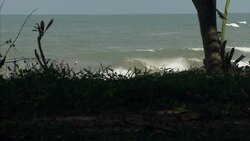 Khao Lak beach and people swimming at sea News Clip