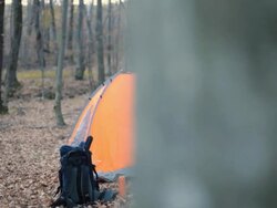 Tourist Stock Footage