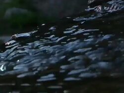 flowing water Stock Footage