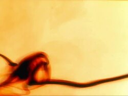 Smoke Series 1080p Stock Footage