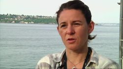 Sea Turtles Flown From Seattle to San Francisco News Clip