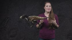 Untangling the Devil's Corkscrew Instructional Video