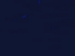 Dynamic lights Stock Footage