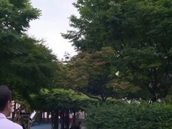 A man playing single played badminton at the park Stock Footage