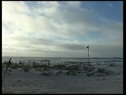 Tropical Storm Ida hits landfall, little damage reported News Clip