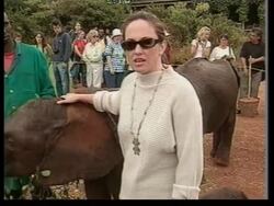 UN Security Council adopts wounded calf News Clip