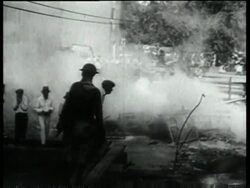 Riots, Swimming News Clip