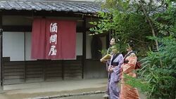 Edo Village Scene Stock Footage