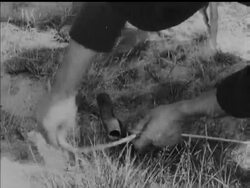 BITING THE DUST - TO ORDER News Clip