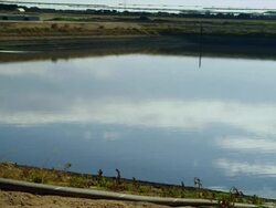 Containment pond of Manure and waste run off from high density feed lot Stock Footage