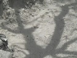 Volcanic Clay boobles Stock Footage