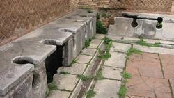 How the Toilet Changed History Instructional Video