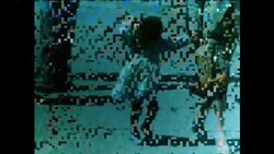 GS 13 04 83 SCENES AT MOROCCO ALGERIA BORDER AFTER OPENING News Clip