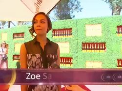 EVENT CAPSULE REPORTER/CHYRON: 2nd Annual Veuve Clicquot Polo Classic, Pacific Palisades, CA, United States, 10/09/11 Stock Footage