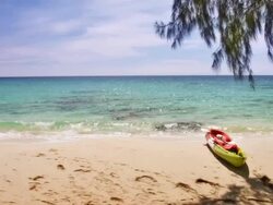 Beach, island Stock Footage