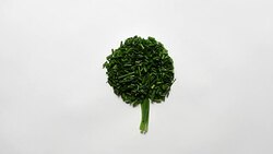 Tree shape, green chives, white background Stock Footage