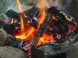 Cu Shot of campfire burning / Cape Town, South Africa Stock Footage