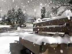 Bench in a snow day Stock Footage