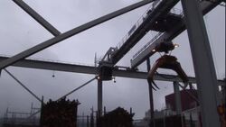 A large crane picks up logs at a paper mill. Stock Footage