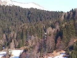 Autumn in mountains from air Stock Footage