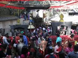 Dakshinkali Hindu Temple a place of animal sacrifices to Hindu Goddess nr Kathmandu, Kathmandu valley, Nepal, Asia Stock Footage