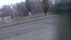 CLEAN : Ukraine pro Russia rebels agree to resume peace talks News Clip