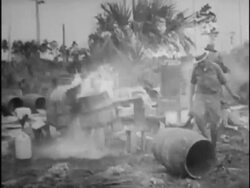 Whiskey barrels smashed up during Prohibition Stock Footage