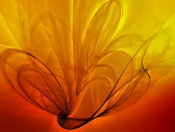 Abstract flames Stock Footage