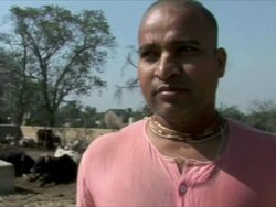 We Drink Cow Piss Stock Footage