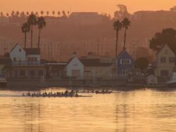 Golden Race Stock Footage