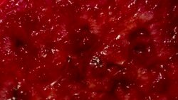 Ultra close up Cactus pear slowly rotating Healthy lifestyle Stock Footage