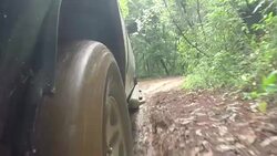 4x4 car pick-up rides through the mud in the forest Stock Footage