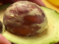 CU Tea spoon scooping out avocado pit and digging into avocado flesh to scoop out portion / Los Angeles, California, United States Stock Footage