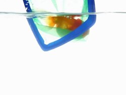 Releasing Goldfish Stock Footage
