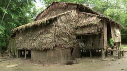 CLEAN : Myanmar child servants beaten and burnt News Clip