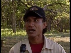 NICARAGUA: PLAN TO SAVE THE SEA TURTLE News Clip