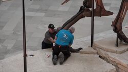 Chicago museum's T. rex Sue moved to make way for new display Instructional Video