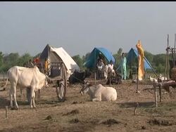 Monsoon rains have flooded large parts of Pakistan''s southern Sindh province over the last six weeks, killing more than 200 people and displacing more than 1.8 million, according to the United Nations. News Clip