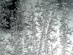 MS Shot of ice crystals / Taben-Rodt, Rhineland Palatinate, Germany    Stock Footage